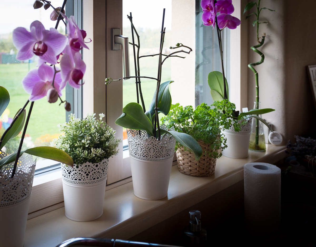  autor projektu: Createrra 